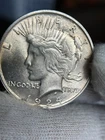 BU + 1924 Peace Dollar Toned  #82037