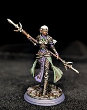 Female Elf Cleric Spear Priestess Pro Painted D D Pathfinder Miniature TTRPG