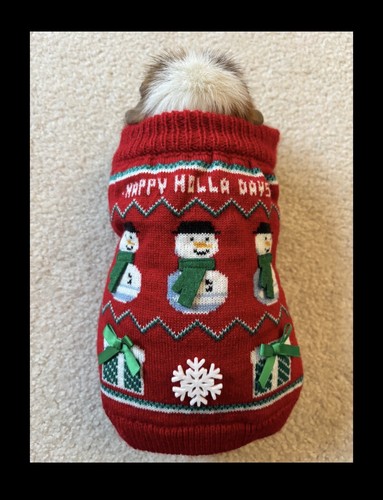 Adorable 🥰 Holiday🎄Sweater - Small Pet / Guinea Pig Costumes