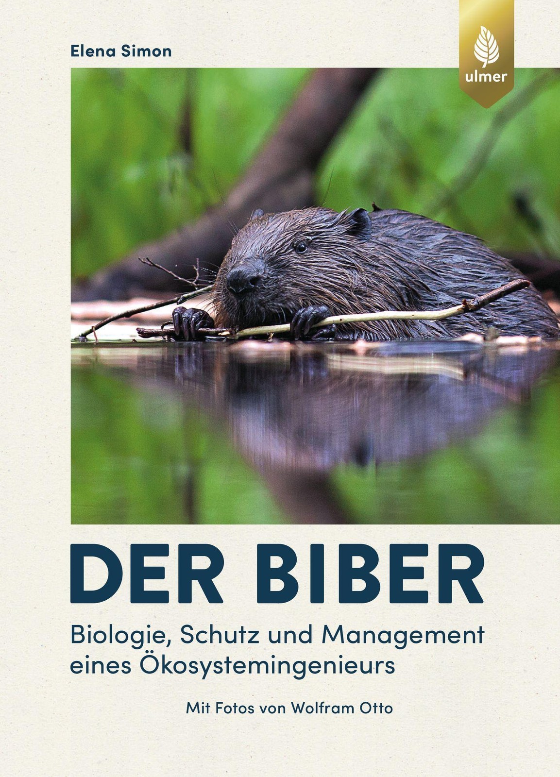 Der Biber Elena Simon