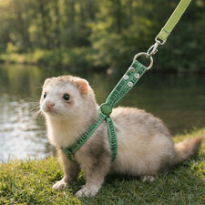 Soft Guinea Pig Harness Adjustable Ferret Harness Leash  Pet Running