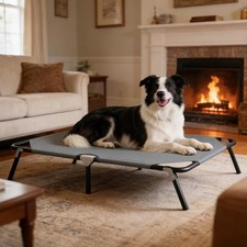 Folding Elevated Dog Bed for Large Dogs, Portable Raised Camping Outdoor Dog ...