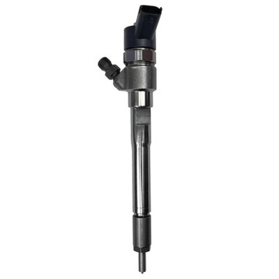 0445110494 Common Rail Diesel Fuel Injector for MWM JAC J4 SEI 2