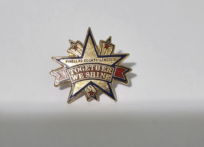 St Catherines School 1993 Pin Badge Rare Vintage (D2)--Very Nice