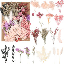 Trockenblumen Set f&uuml;r DIY Bastelprojekte naturfarben 50 St&uuml;ck
