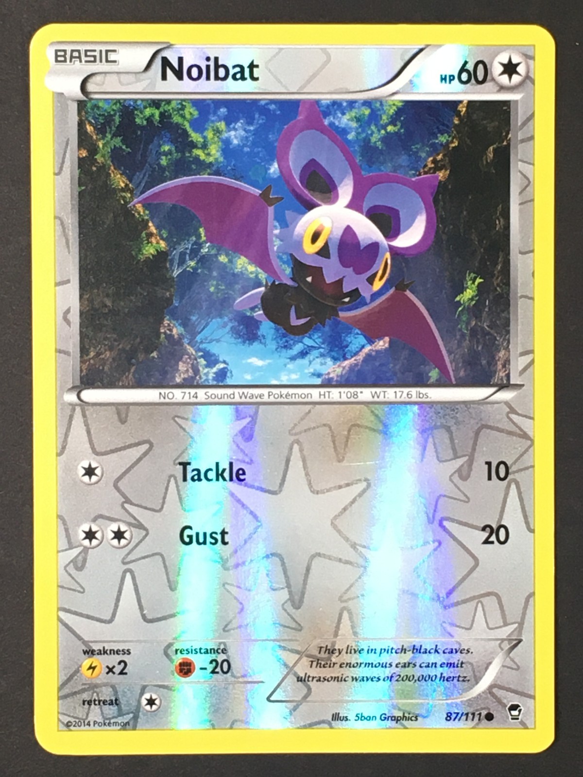 Pokemon TCG Noibat 87/111 XY Furious Fists Reverse Holo Common LP