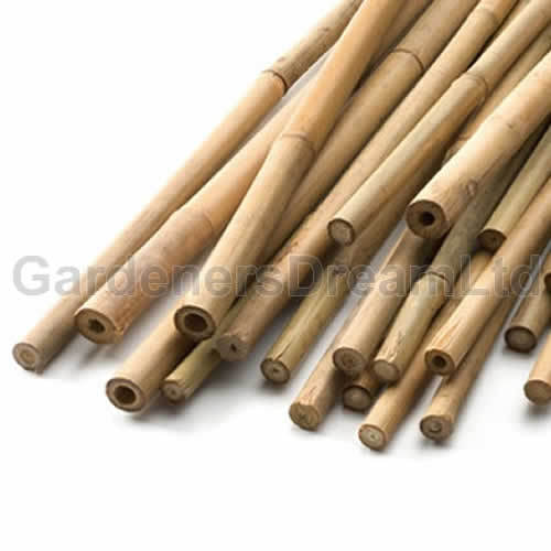 250 X 2FT BAMBOO GARDEN CANES STRONG QUALITY PLANT AND VEGETABLE SUPPORT - Picture 4 of 4