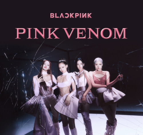 BLACKPINK Ball Cap Pink Venom / Haarnadeln BORN PINK OFFICIAL + Track - Bild 3 von 4