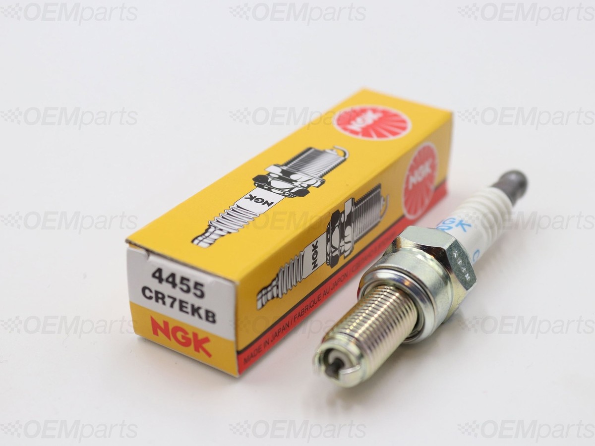 バギー 1x NGK Spark Plug PIAGGIO X9 500 (2001-2007) | eBay