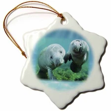 3dRose 2 Manatees looking At You 3 inch Snowflake Porcelain Ornament