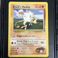 Image for Brock's Mankey