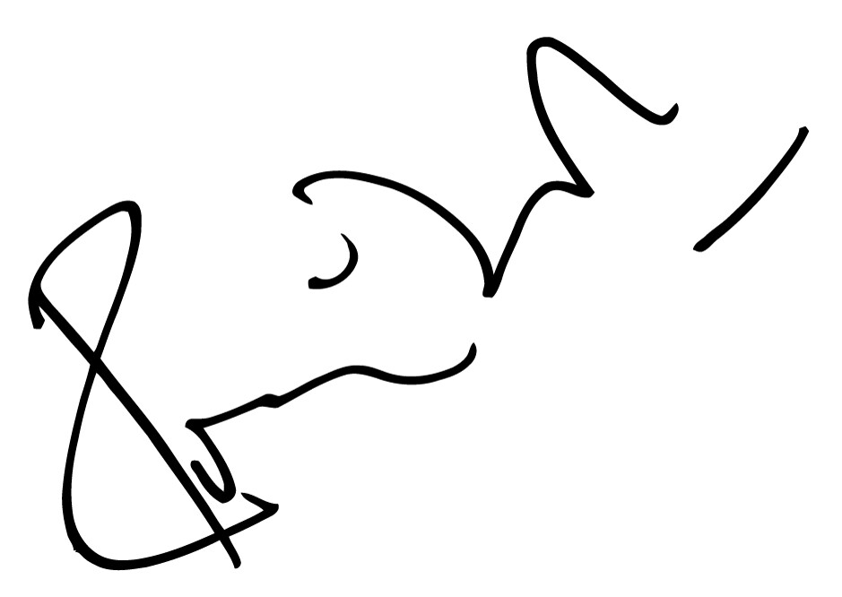 Ronnie Wood Autograph signature VINYL STICKER CAR DECAL