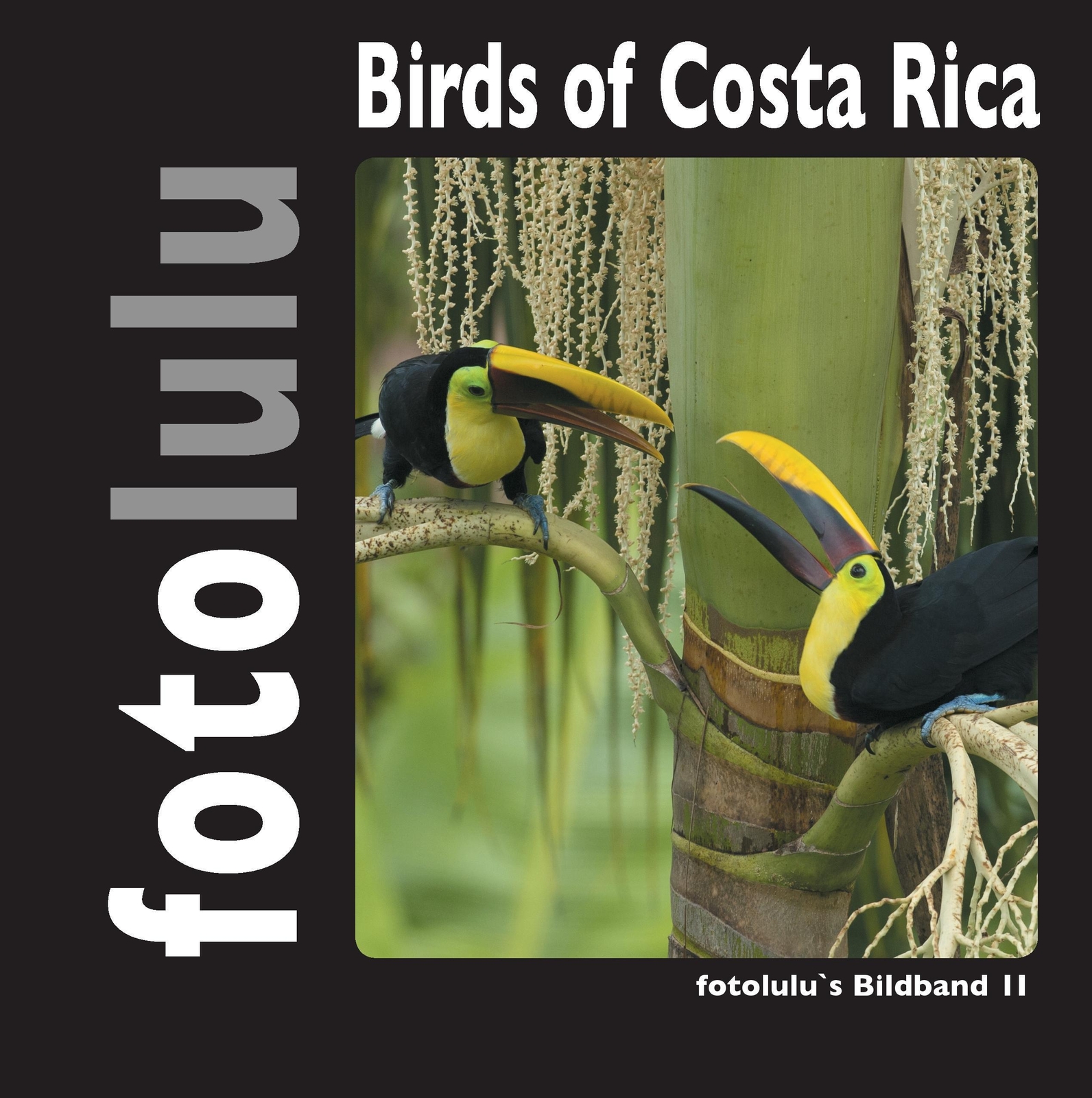 Thumbnail - Fotolulu | Birds Of Costa Rica | Buch | Deutsch (2017) | Fotolulu's