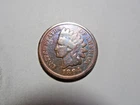 1894 Indian Head Cent in solid good condition. But you decide!!!!!!!!!!!!