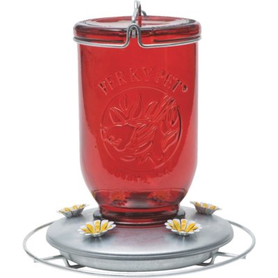 (2 Pack) Perky-Pet Mason Jar Hummingbird Feeder - 786
