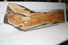 English Yew 1650 L x 555-290 W x 37 D