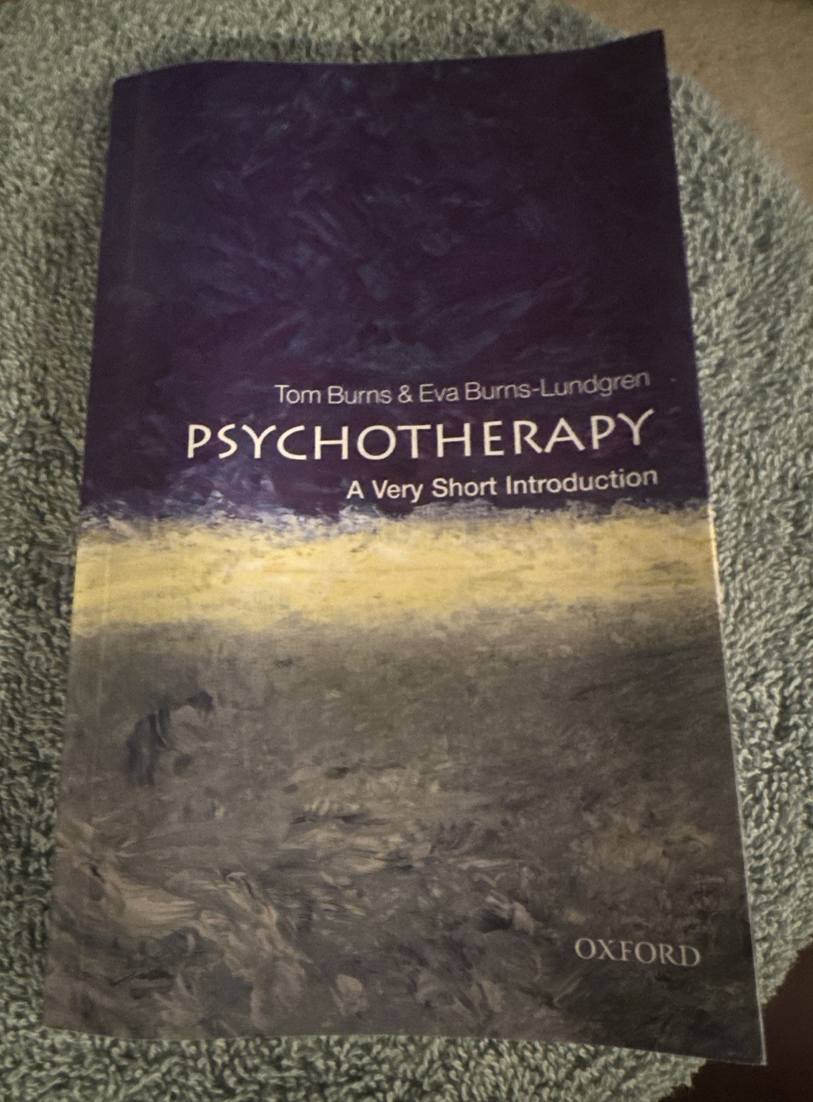Very Short Introduction Psychotherapy : by Tom Burns (Paperback Book 2015)