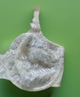 Foto 2 di 7