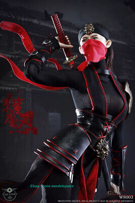  THE KUNOICHI: Woman Ninja Assassin at the Battle of