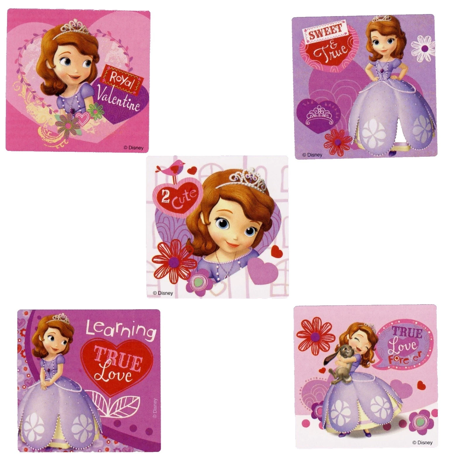 Valentine's Day Princesses Party Favors & Bag Fillers