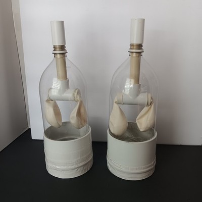 Student Respiratory System -Working Lung - Model