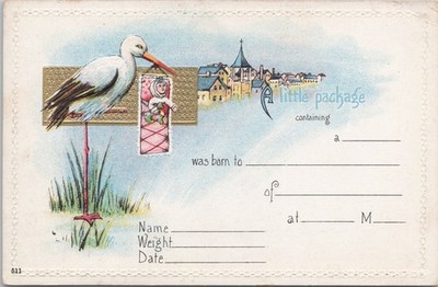 Postcard Birth Announcement Stork Preparing to Deliver A Little Package
