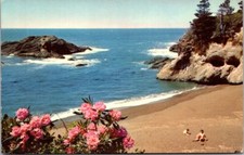 Pacific Ocean Seacoast Pounding Surf Vintage Chrome Postcard B33