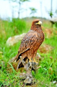 Details About New Large Golden Eagle Statue Life Like Home Garden Decor Figurine Free Ship