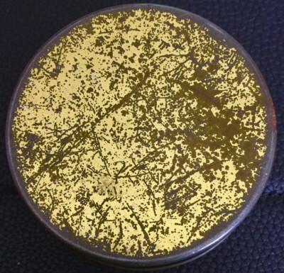 tobacco alkaloids Full article: From cultivation to cancer: formation of N-nitrosamines and  other carcinogens in smokeless tobacco and their mutagenic implications