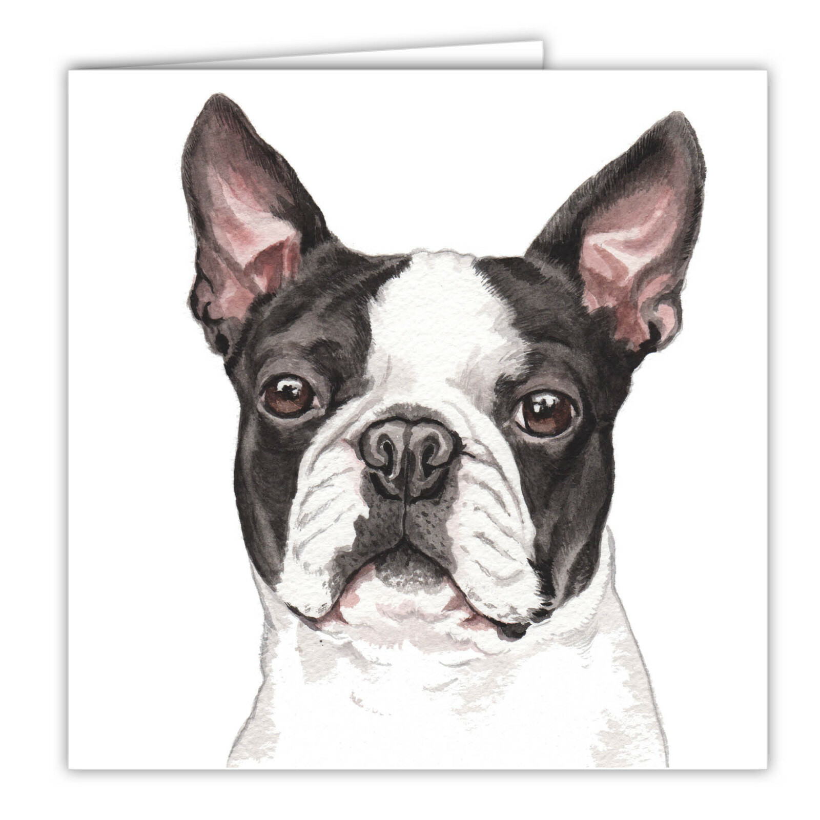 Boston Terrier greetings card dog blank card dogs Boston Terriers WaggyDogz art
