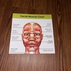 Myolift Mini Professional Microcurrent Facial Device w/ Probes – Tested On — photo 3