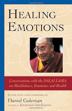 Heilende Emotionen: Gespräche mit dem Dalai Lama über Achtsamkeit, Emotionen,...