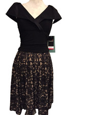 Scarlett Sleeveless Lace Dress, Size 6, lined Stretch Machine wash,Tag $100, NWT