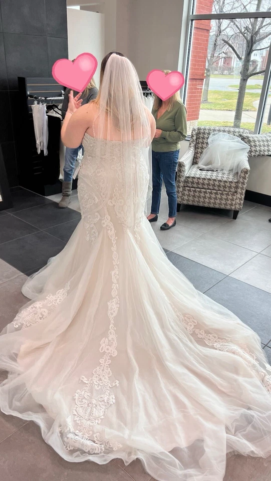 Vestido de novia para mujer Maggie Sottero talla 22 marfil con base rubor  Foto 4 de 4