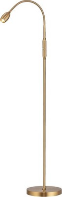 Ray LED Floor Lamp Adjustable Beam Dimmable Gooseneck Antique Brass