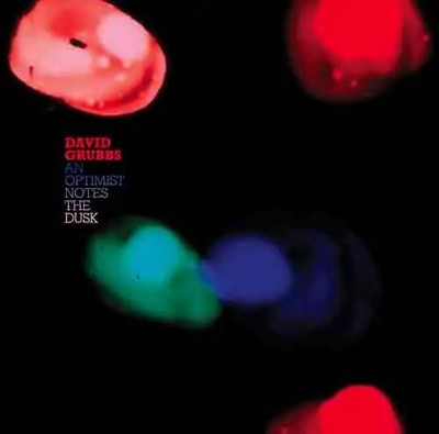 CD David Grubbs An Optimist Notes The Dusk DIGISLEEVE Drag City