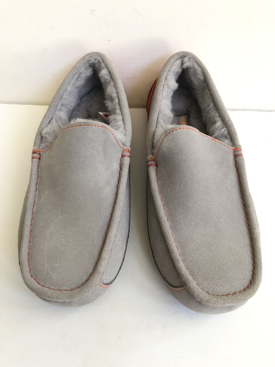 UGG グレー スエード ASCOT新品26cm外箱あり UGG グレー スエード