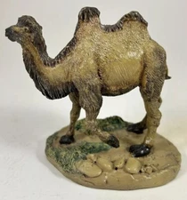Camelus Franklin Mint Wild Life Preservation Trust International Camel 1987