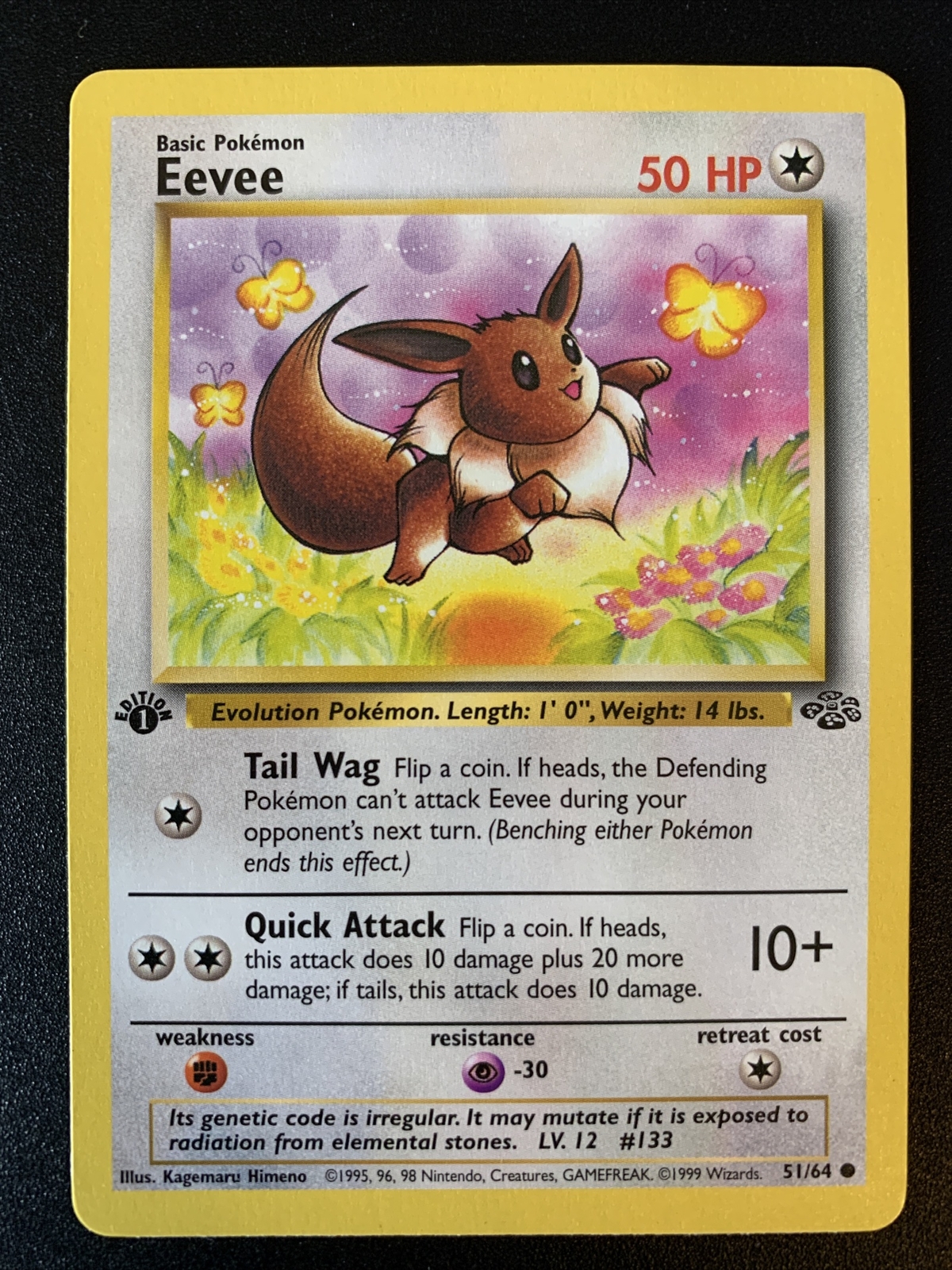 Eevee 51/64 1st Edition-NM-Near Mint-Jungle set-Pokemon TCG