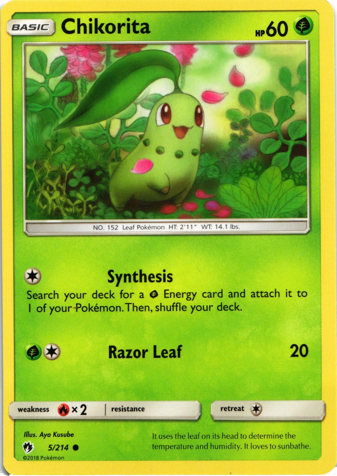 SM - Lost Thunder #5/214 Chikorita (5)