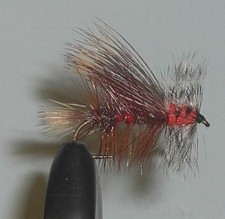 C/A Flies Royal Stimulator #12 Dry Fly Trout Fishing Flies 12 Pack