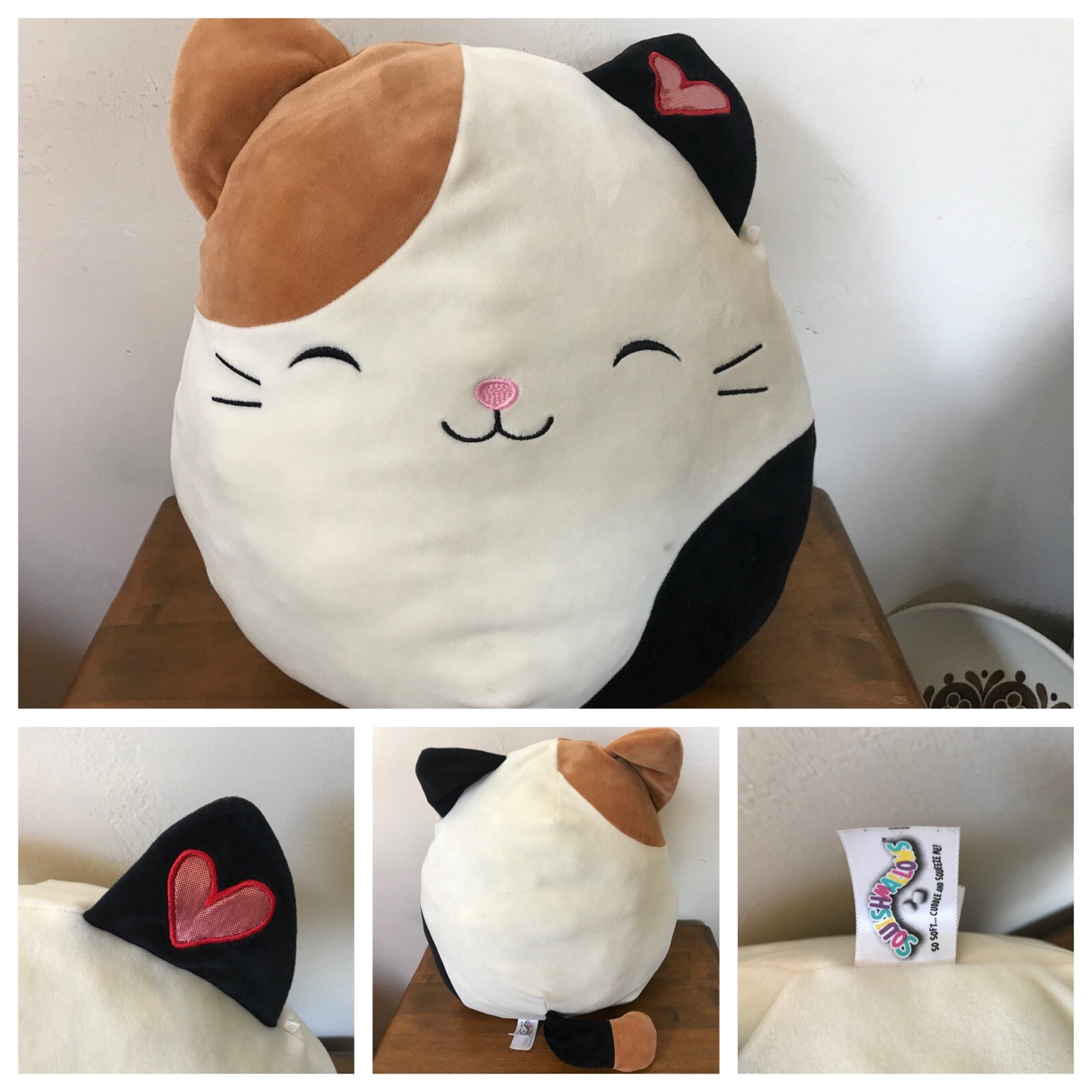 rare cat squishmallow