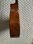 Picture 9 of 17