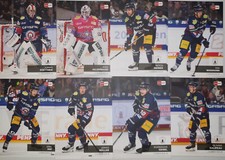 DEL Playercards 2024/2025 24/25 Eisbären Berlin Einzelkarten zum aussuchen