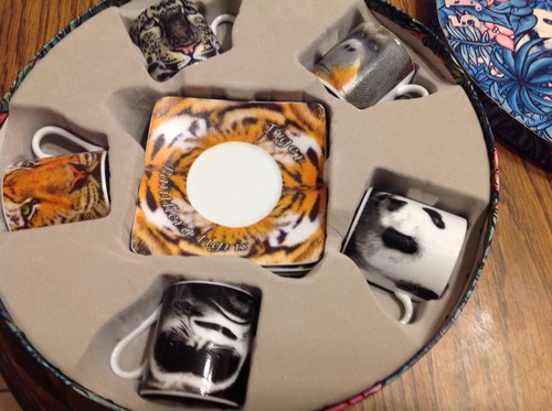 Animal Endangered Species Cup & Saucer set, 5 jungle animals, new - Picture 6 of 6