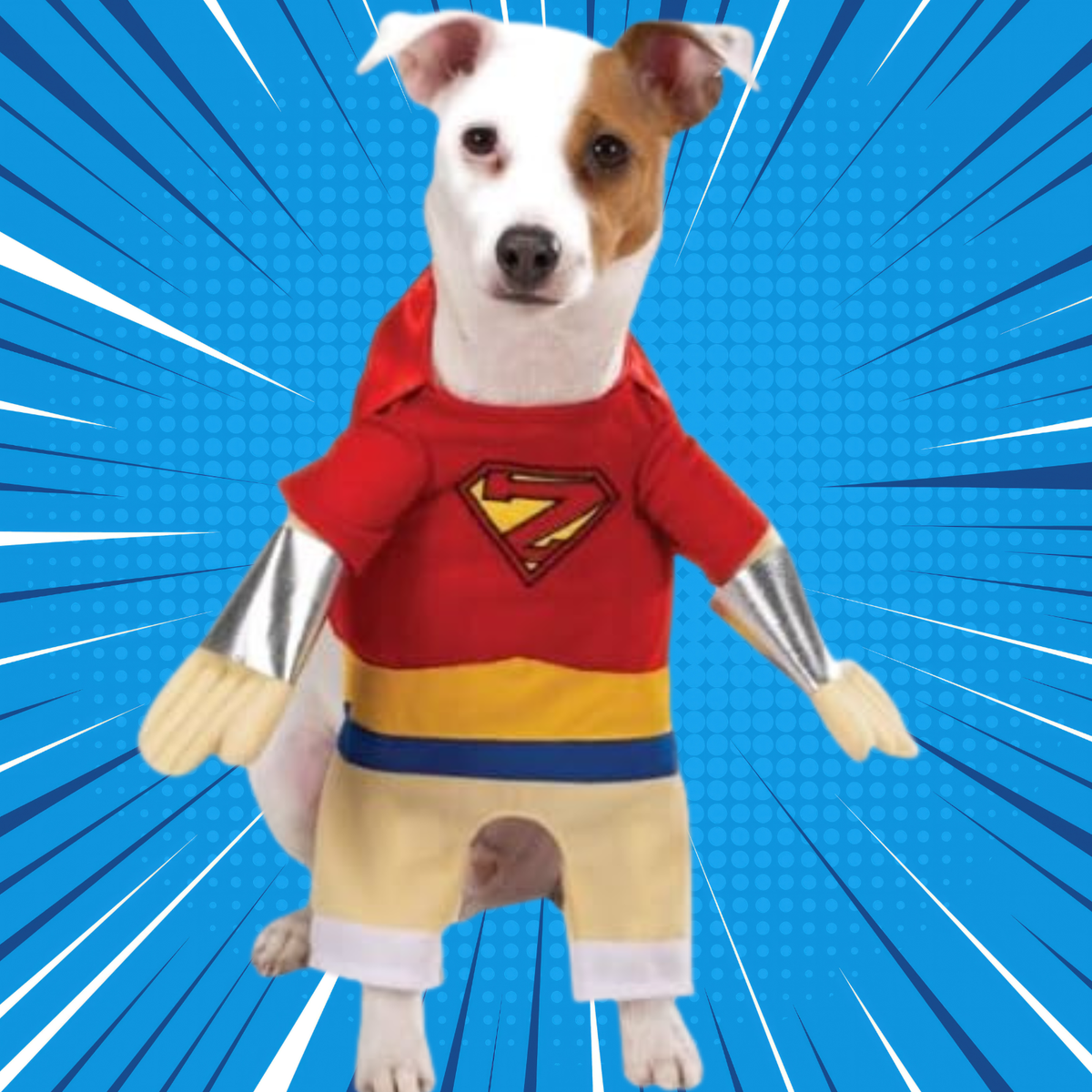 Casual Canine Superhero Dog Halloween Costume Large Pet Dress Up