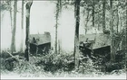 World War 1 Military: Oise Front, French Tanks Crossing the Woods. Pre-20.