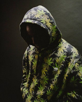 Supreme x The North Face Leaf Hooded Sweatshirt | Black | Large L