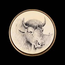 American Bison Buffalo Solid Brass 1980s Vintage Belt Buckle