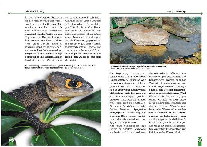 Thumbnail - Der Orangeaugen-helmsink Michael Evers